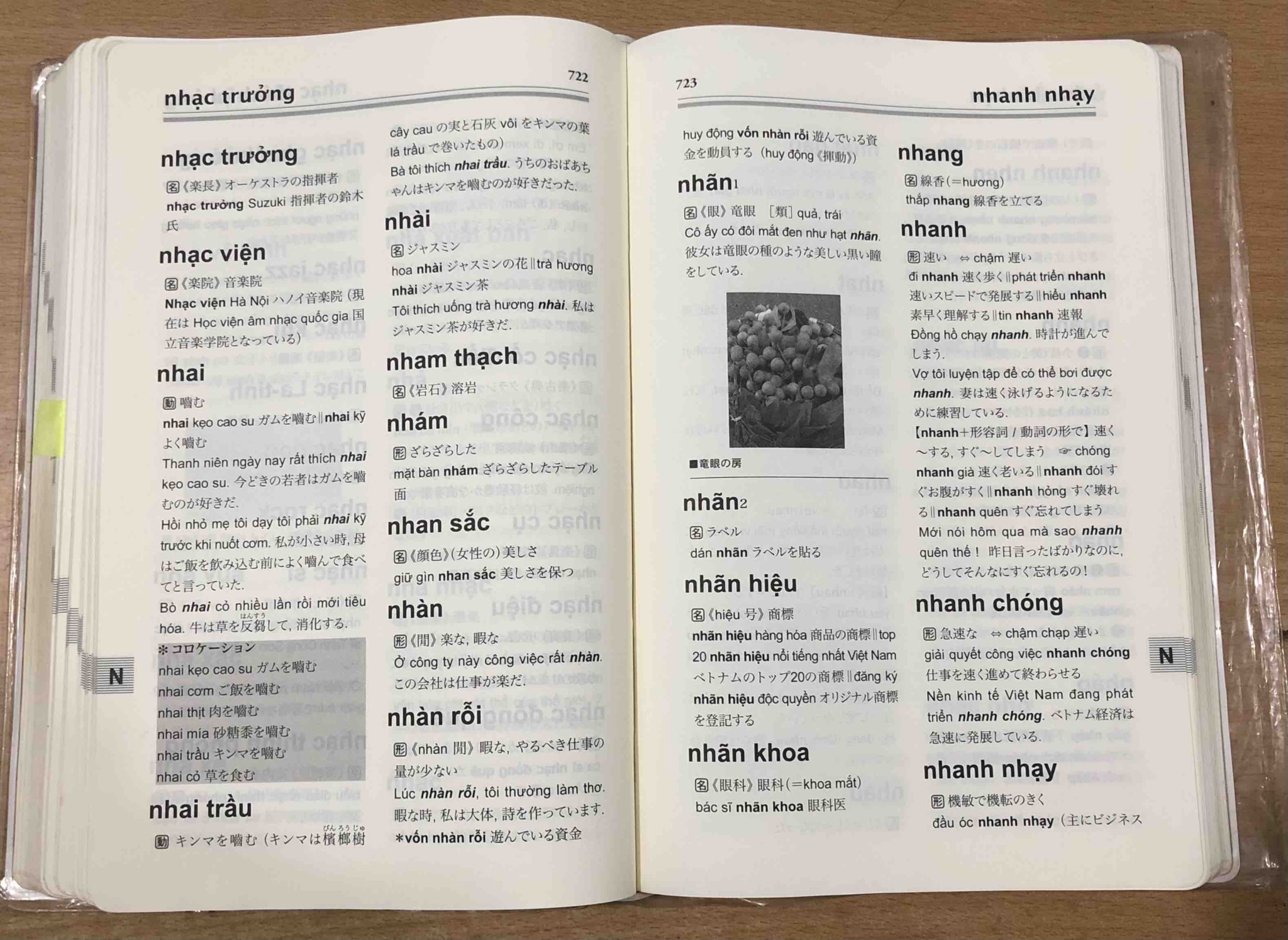 【徹底比較】おすすめのベトナム語辞書は?【辞典はコスパ最強の先生である】