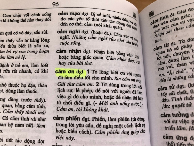 ベトナム語の辞書での表記は Cảm ơn 
