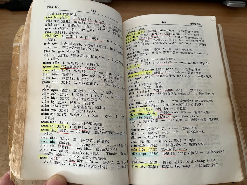 長年使い込まれた越日辞典（ベトナム語辞書）の誌面。ほぼ全ての見出し語にマーカーや手書きの補足が書き込まれており、著者の徹底した学習の軌跡が伝わる写真。
