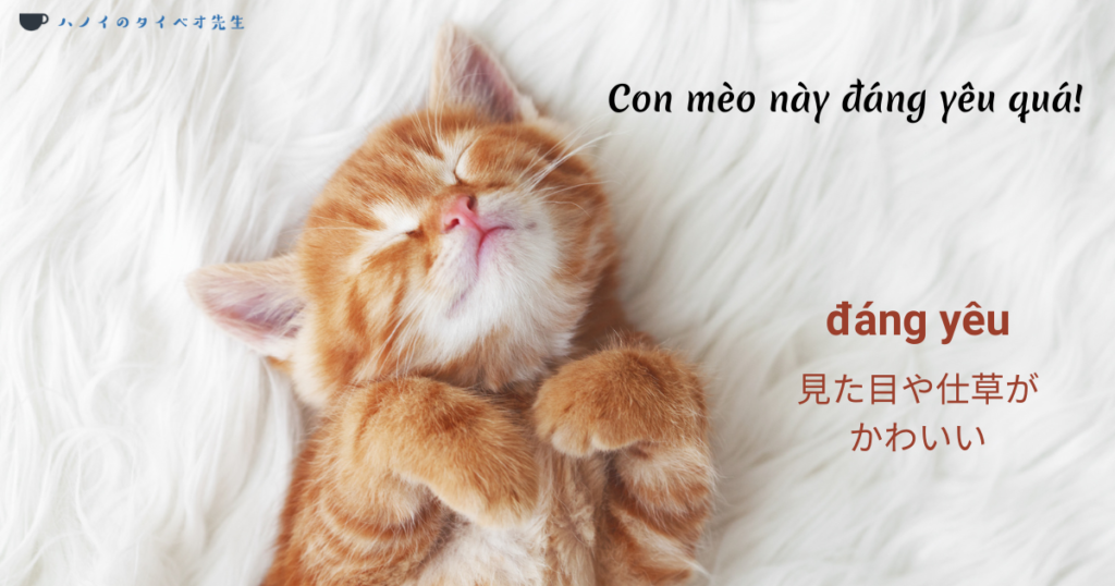 白い毛布の上で仰向けに眠る可愛らしい（đáng yêu）茶トラの子猫