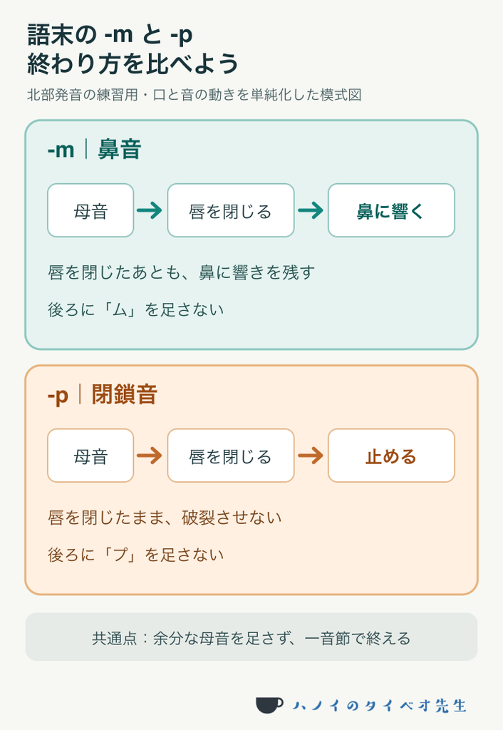 ベトナム語の語末音の比較。-m は唇を閉じて鼻に響かせ、-p は唇を閉じたまま破裂させずに終わる。