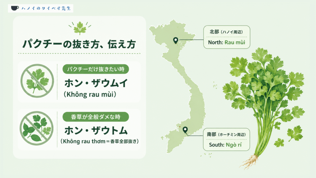 パクチーの抜き方・伝え方のまとめ図解。パクチーだけ抜く『ホン・ザウムイ（Không rau mùi）』と、香草全部を抜く『ホン・ザウトム（Không rau thơm）』のフレーズ解説